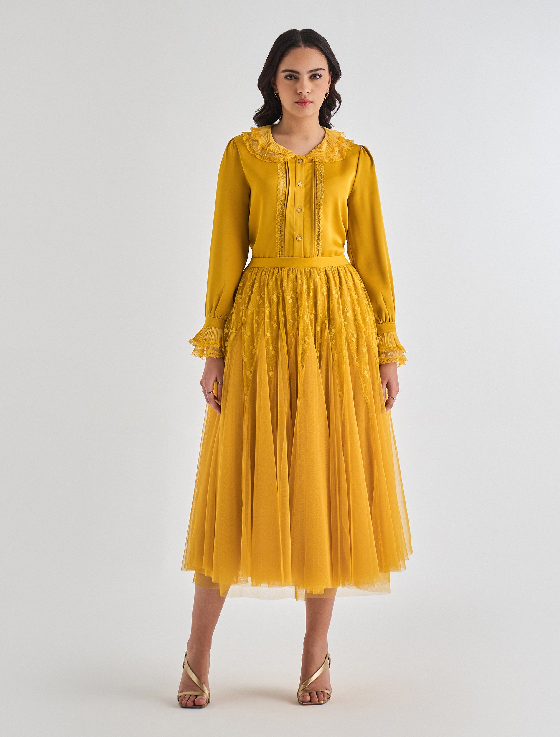 2468 &amp; 2469 mustard